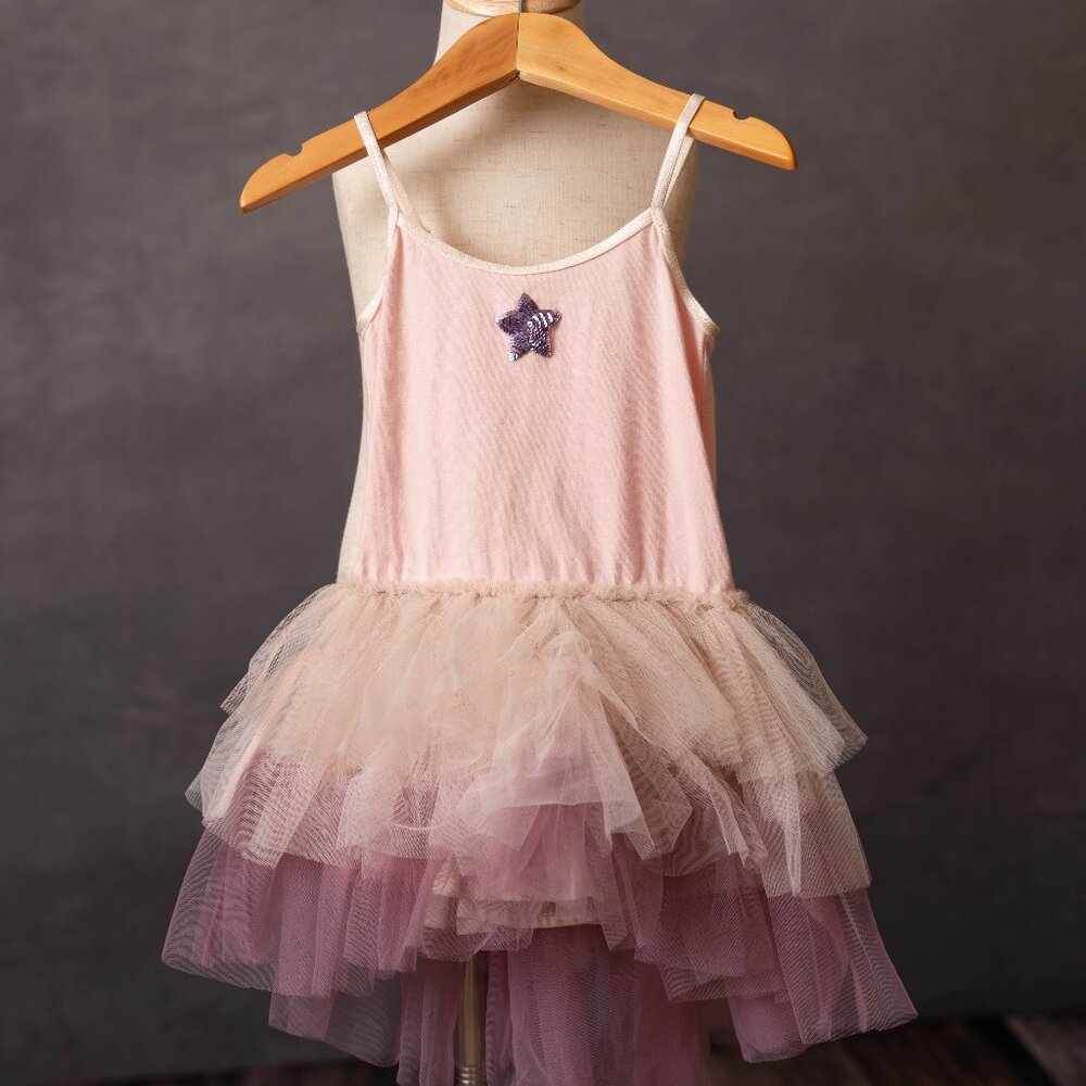 Tutu Du Monde star pink and purple tulle dress